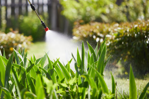 24/7 Emergency Mosquito Control experts in Walla Walla East, WA