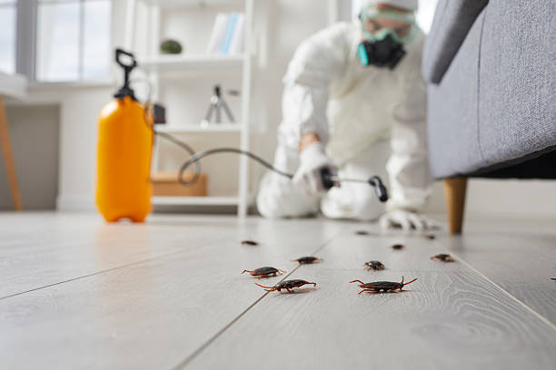 Trusted Fumigation Services service in Walla Walla East, WA - Nex Pest Control