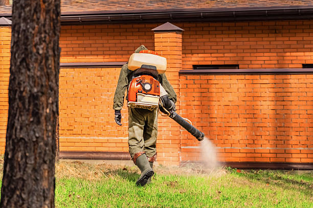 Trusted Rodent Control service in Walla Walla East, WA - Nex Pest Control